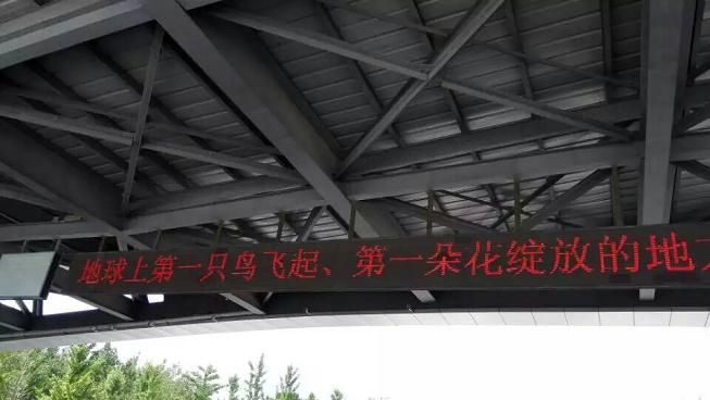 世界上第一朵花綻放的地方，第一只鳥(niǎo)飛起的地方